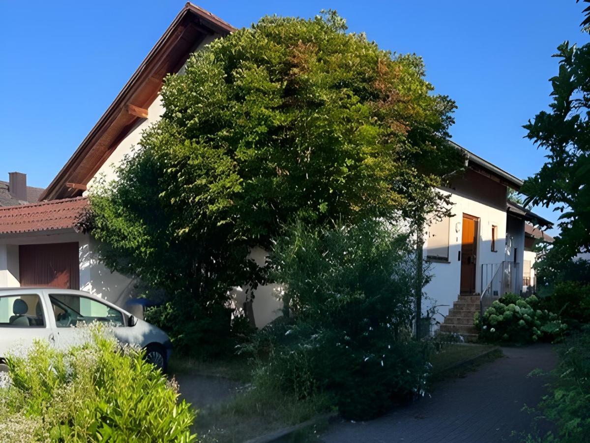 Coco * Schallstadt